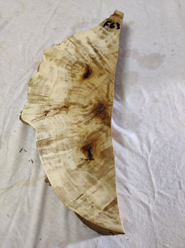 Pappel Maser Mapa 34 x 13 - 2 x 4 cm Epoxid Holz F 63