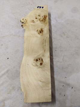 Pappel Maser Mapa 43 x 13 - 6 x 5,5 cm Epoxid Holz F 87