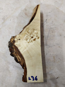 Pappel Maser Mapa 30 x 12 - 2 x 5,2 cm Epoxid Holz L 36