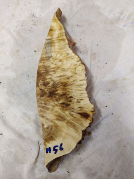 Pappel Maser Mapa 35 x 11 - 1 x 5 cm Epoxid Holz H 56