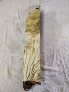 Pappel Maser Mapa 42 x 8 - 1 x 4,5 cm Epoxid Holz H 2