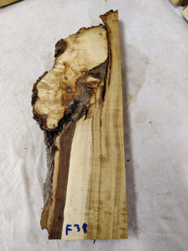 Pappel Maser Mapa 47 x 18 - 5 x 4,5 cm Epoxid Holz F 38