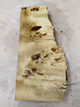 Pappel Maser Mapa 41 x 19 - 13  x 6 cm Epoxid Holz L 7