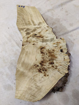 Pappel Maser Mapa 46 x 22 - 10 x 5 cm Epoxid Holz L 19
