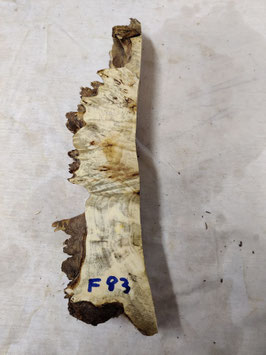 Pappel Maser Mapa 33 x 7 x 5 cm Epoxid Holz F 83