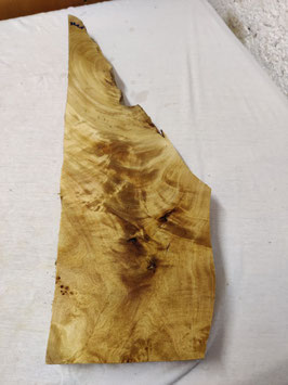 Pappel Maser Mapa 59 x 20 - 3 x 5 cm Epoxid Holz H 11