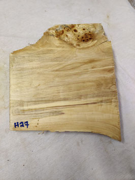 Pappel Maser Mapa 33 x 28 - 15 x 4,5 cm Epoxid Holz H 27