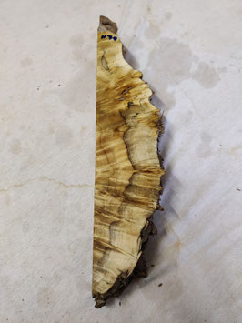 Pappel Maser Mapa 47 x 9 - 3 x 5 cm Epoxid Holz H 34