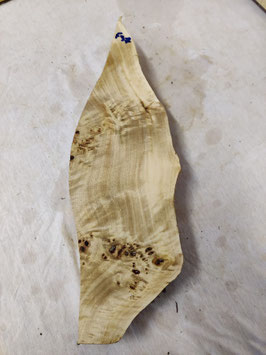 Pappel Maser Mapa 43 x 14 - 1 x 6 cm Epoxid Holz F 37
