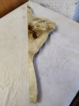 Pappel Maser Mapa 76 x 20 - 2 x 4,5 cm Epoxid Holz F 30