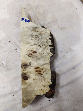 Pappel Maser Mapa 31 x 10 x 5 cm Epoxid Holz F 60