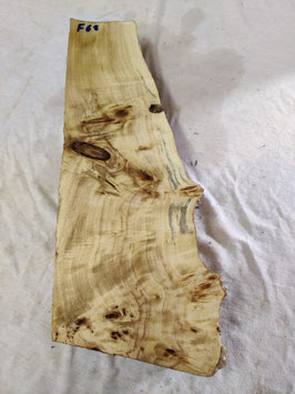 Pappel Maser Mapa 41 x 17 - 9 x 5 cm Epoxid Holz F 68