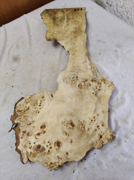 Pappel Maser Mapa 61 x 28 - 7 x 3,5 cm Epoxid Holz F 19