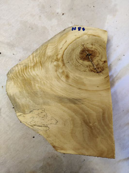 Pappel Maser Mapa 27 x 23 x 7,5 cm Epoxid Holz H 84
