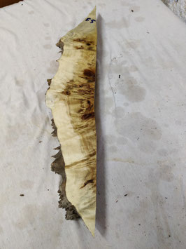 Pappel Maser Mapa 56 x 10 - 1 x 4,5 cm Epoxid Holz F 5
