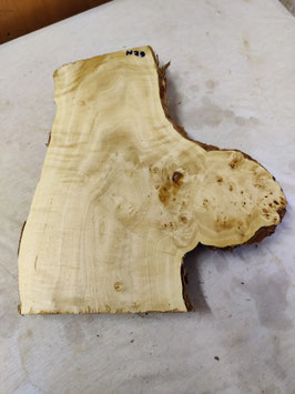 Pappel Maser Mapa 39 x 34 - 16 x 6 cm Epoxid Holz H 29