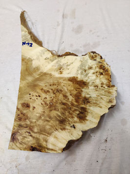 Pappel Maser 42 x 22 - 1 x 5 cm Drechselholz H 12