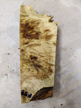 Pappel Maser Mapa 32 x 13 - 9 x 5 cm Epoxid Holz F 59
