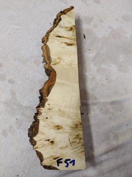Pappel Maser Mapa 41 x 11 - 4 x 5,5 cm Epoxid Holz F 51