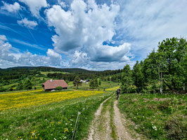 ALB EPIC Summer Gravelcross GOLD von Do. 04.06.– So. 07.06.2026 in 4 Etappen mit Guide, 1 Erw. 3xÜF im DZ