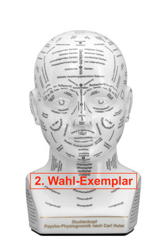Exklusiver Studienkopf - 2. Wahl-Exemplar