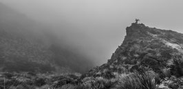 Biker in the Mist