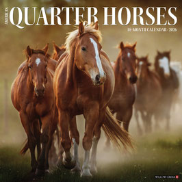 AMERICAN QUARTER HORSES KALENDER 2026