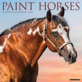 WI PAINT HORSES KALENDER 2026