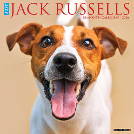 JACK RUSSELL KALENDER 2026