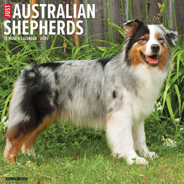 AUSTRALIAN SHEPHERDS KALENDER 2025 AUSVERKAUFT