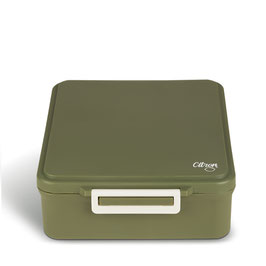 CITRON grand lunch box / green