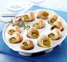 C94 - Escargots x 48