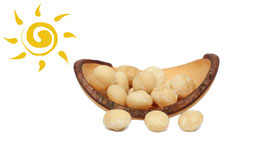 Bio Macadamia, natur, ungeschwefelt