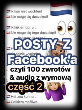 POSTY z FB cz 2: 100 zwrotów  + audio z wymowa