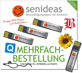 senideas Gedächtnistraining - USB-Sticks 4er Pack