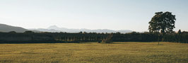 Panoramique Chaîne des Puys- Domaine de Gondole