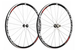 BYTE ROUBAIX SHIMANO O CAMPAGNOLO 11 V