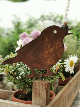 Amsel zum Schrauben