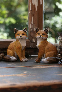 Fuchs sitzend im Paar