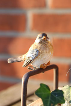 Vogel mit Clip "Franz"