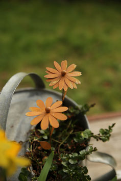 Blume am Stab "3D Blüte" 2er Set