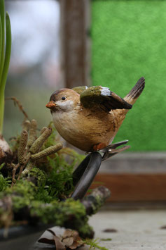 Vogel mit Clip in braun-grün