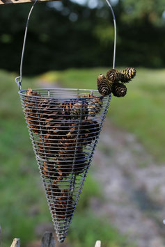 Spitztüte Draht