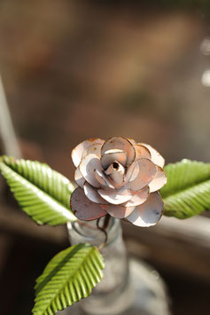 Rose am Stil in Rosa