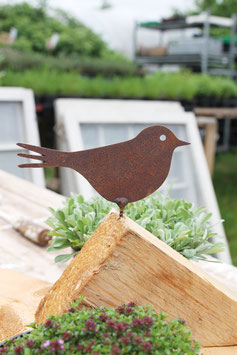 Vogel "Ulli" zum Schrauben