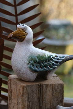 Möwe Albert - Kantenhocker