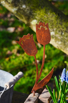 Tulpe mit zwei Blüten zum Schrauben