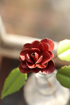 Rose am Stil in Rot