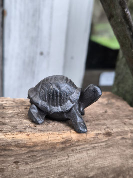 Schildkröte aus Gusseisen