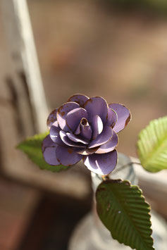 Rose am Stil in Lila